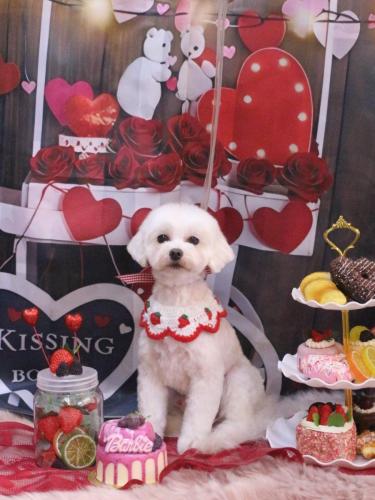 20250220ミルクくん